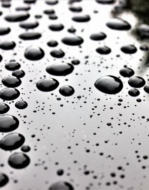 Hydrophobic silicone fluids